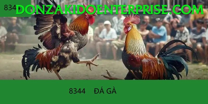 Đá Gà Trực Tiếp - Ưu đãi đặc biệt